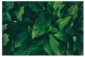 The Connection Between Mindfulness and Spirituality
