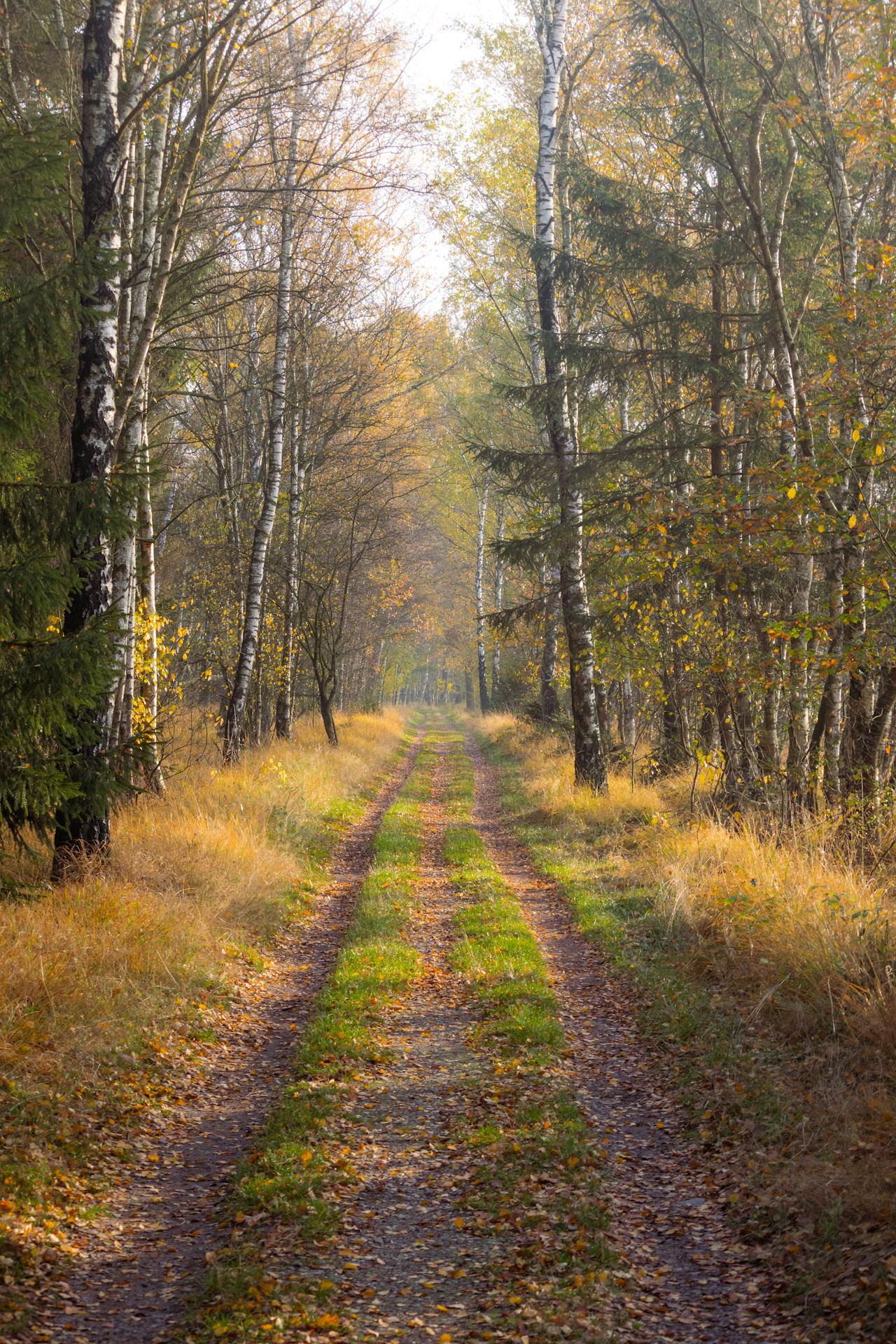 Exploring Spiritual Direction Practices Across Cultures